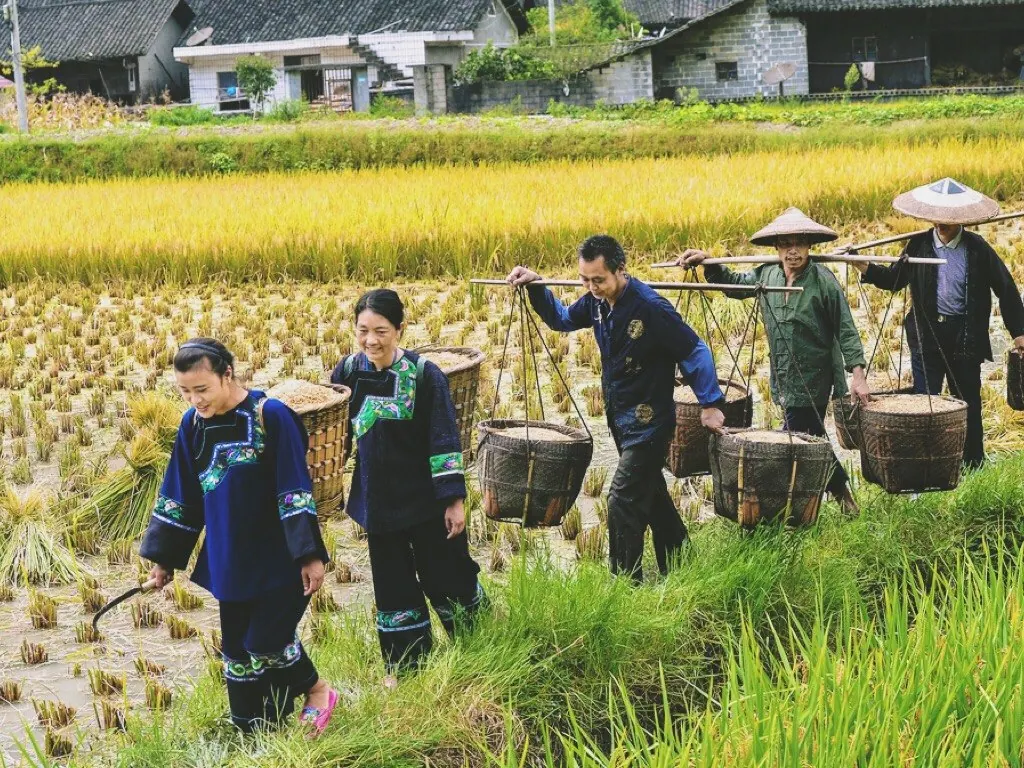 Moments of travel with Vegan Travel China — people, tea and everyday life